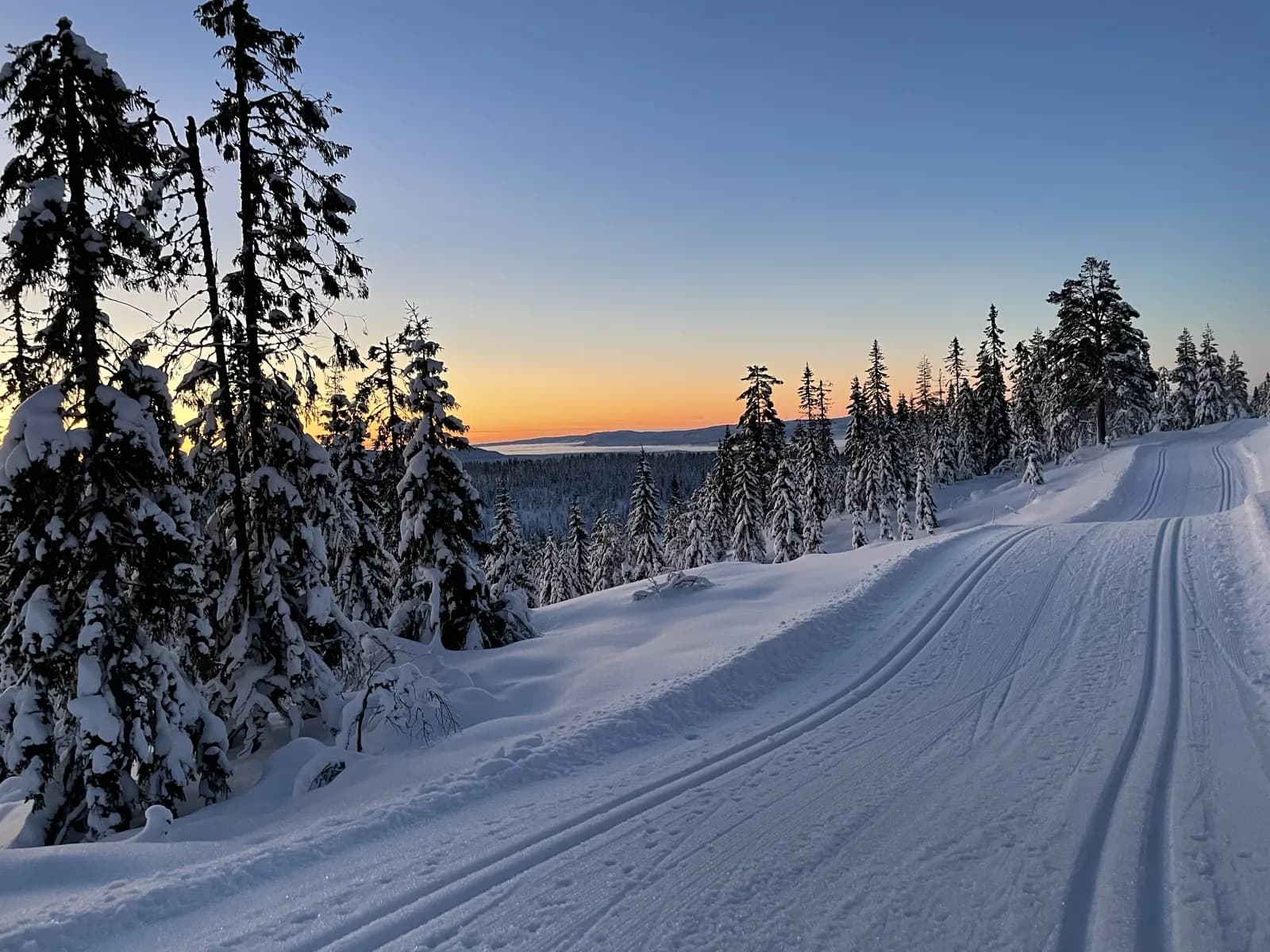 Preparerte skiløyper mellom snødekte trær i solnedgang