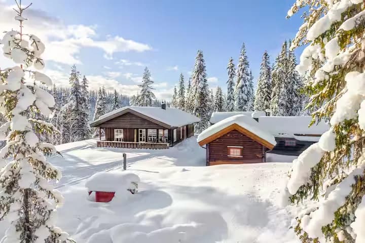 En hytte på Furutangen, illustrasjon av hyttelivet