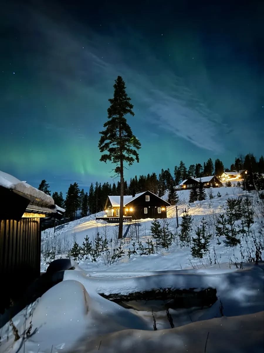 Nordlys over snødekte hytter på Furutangen