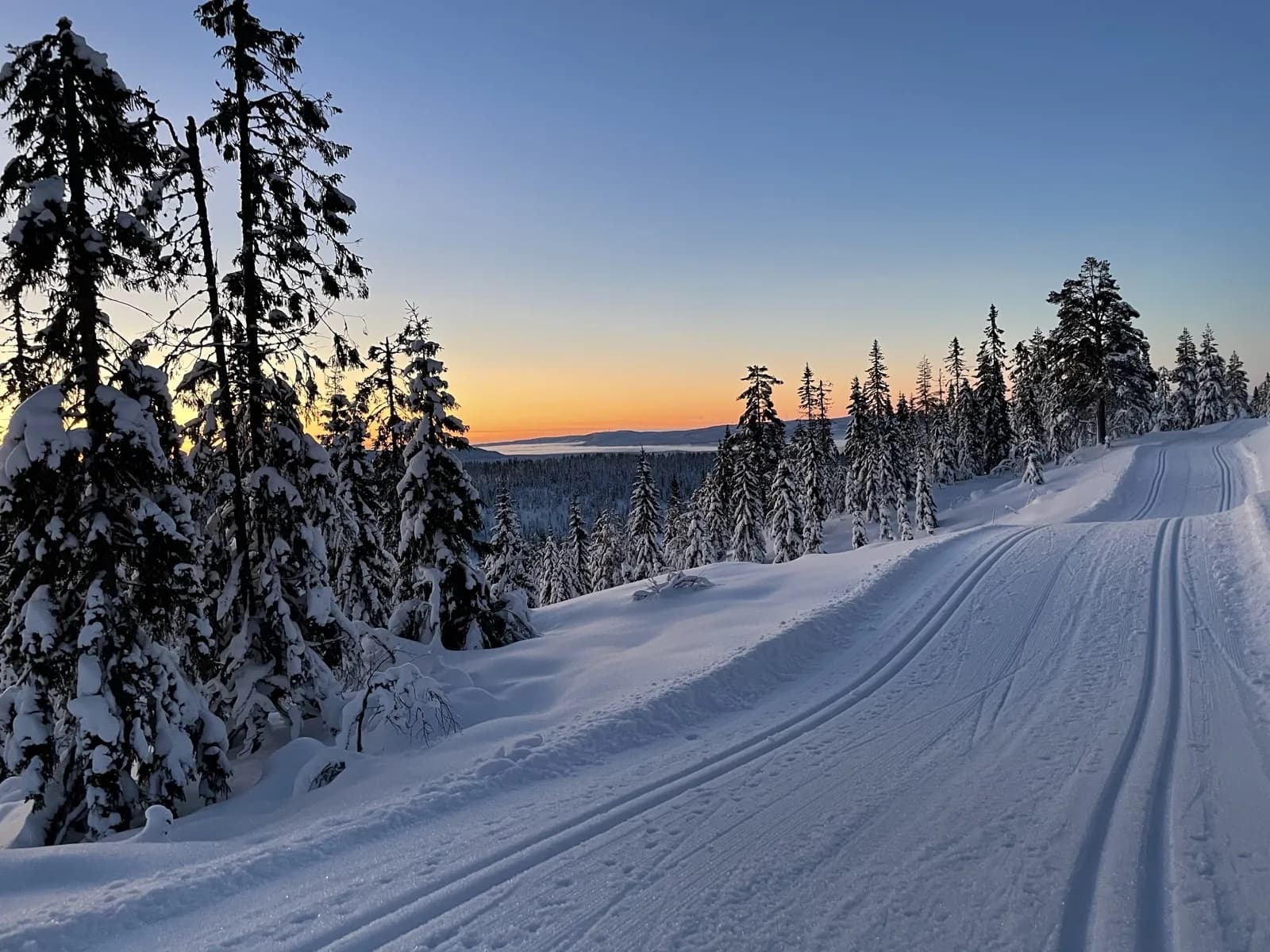 Vinterskog og utsikt ved Furutangen