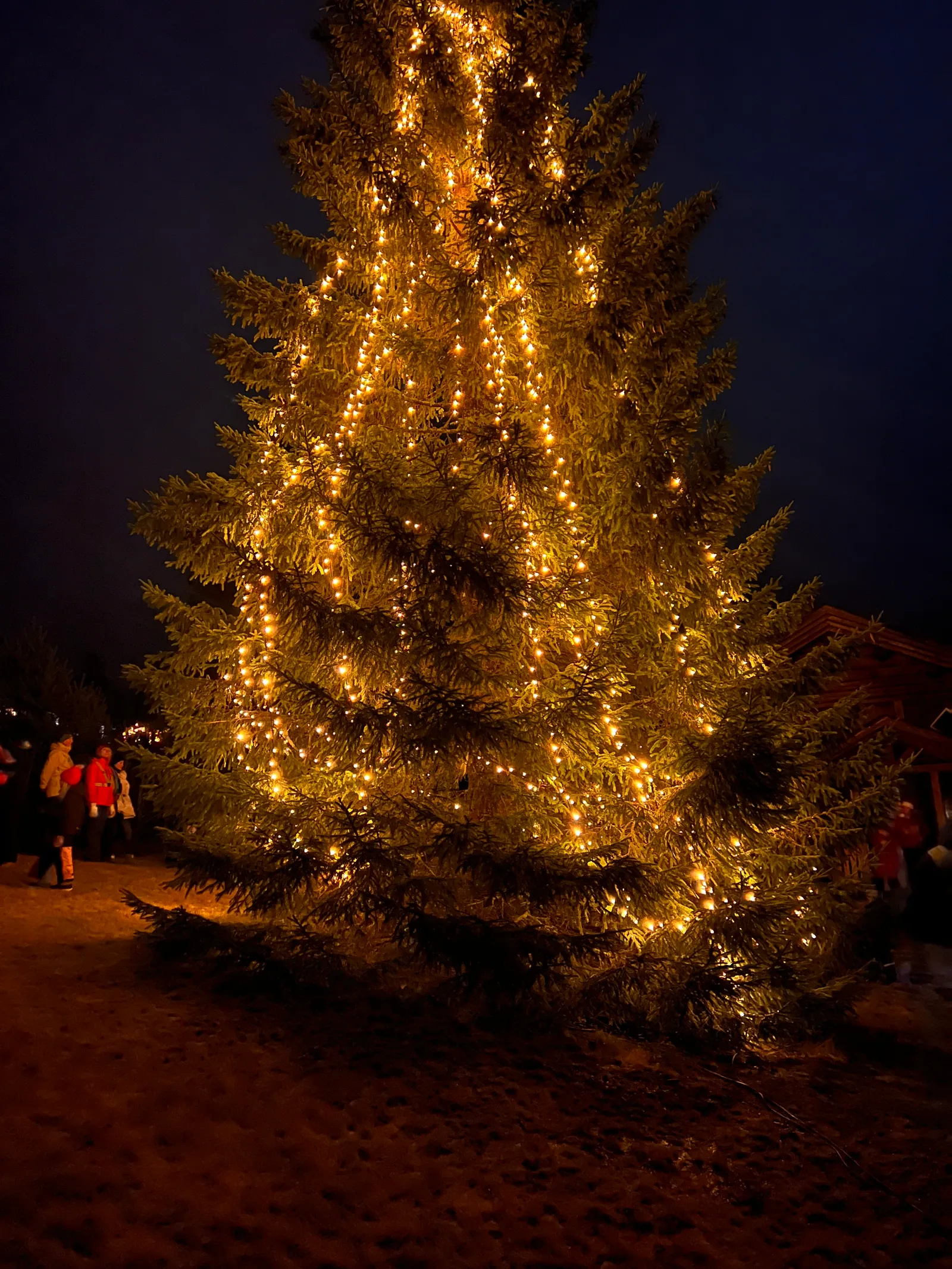 Et stort juletre med varme lys, med mennesker samlet rundt i snøen.