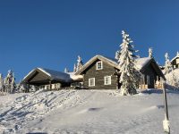 Rognli vinter 1