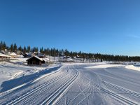 Skiløyper